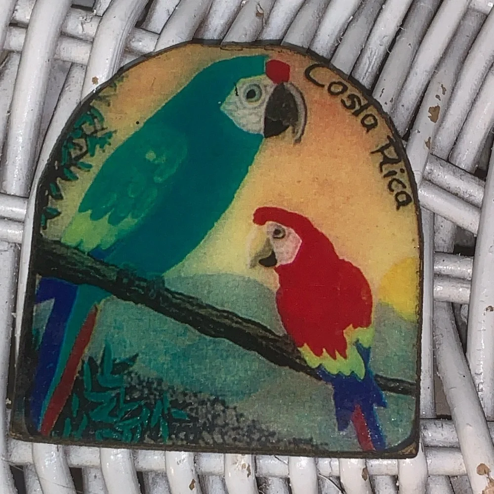 Set of 2 Vintage Parrot Refrigerator Magnets From Costa Rica Handpainted Wood - Picture 7 of 10